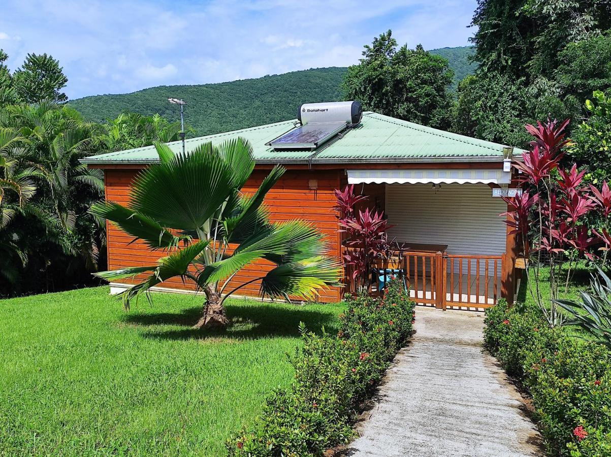 Le Tri Haut De Bellevue - Bungalow Colibri Pointe-Noire Extérieur photo